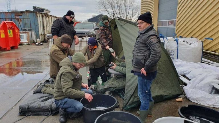 Karper uitzet in de Friese boezem | 2023